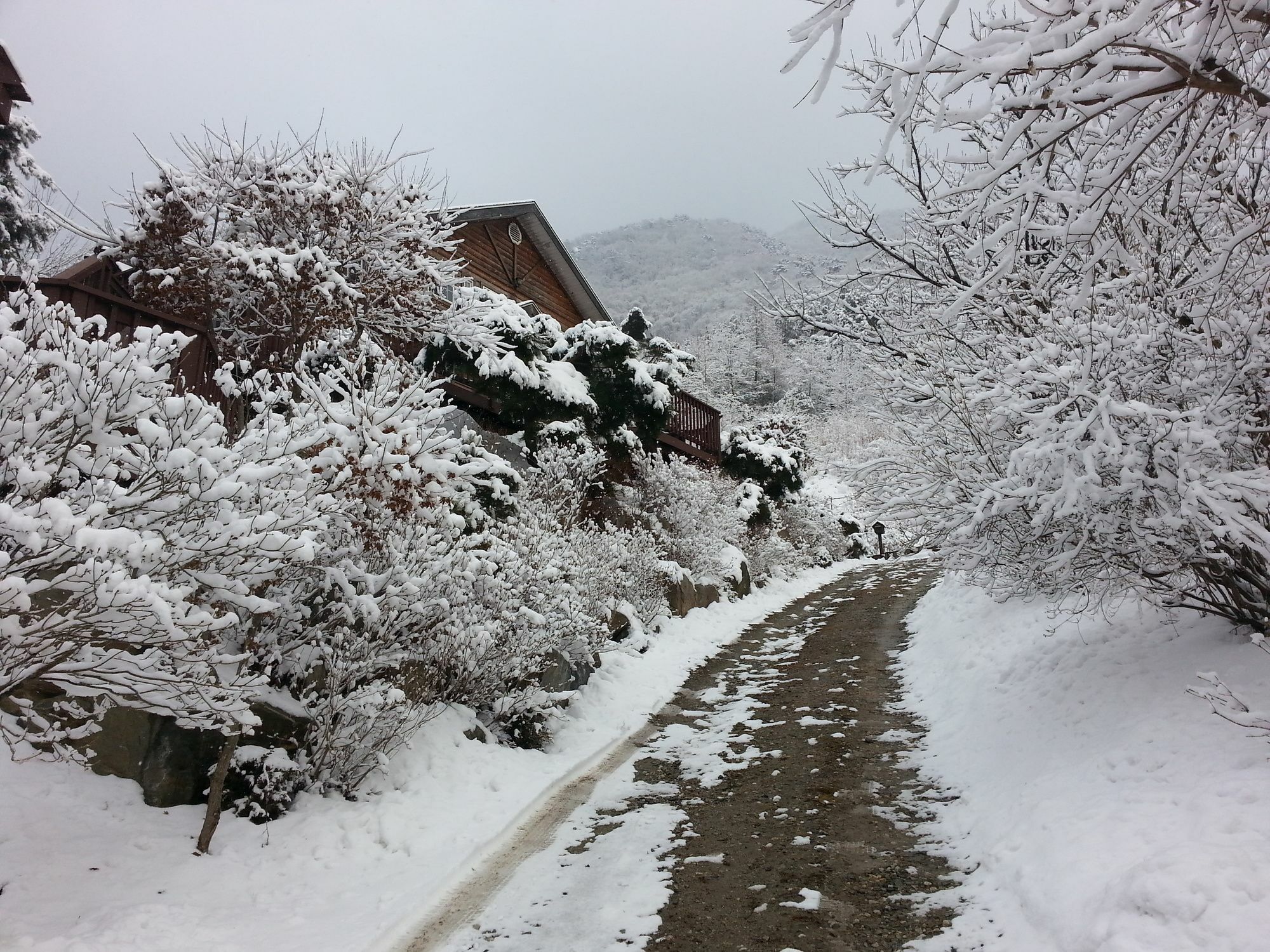 Fairy Tale Pension Pyeongchang Exterior foto