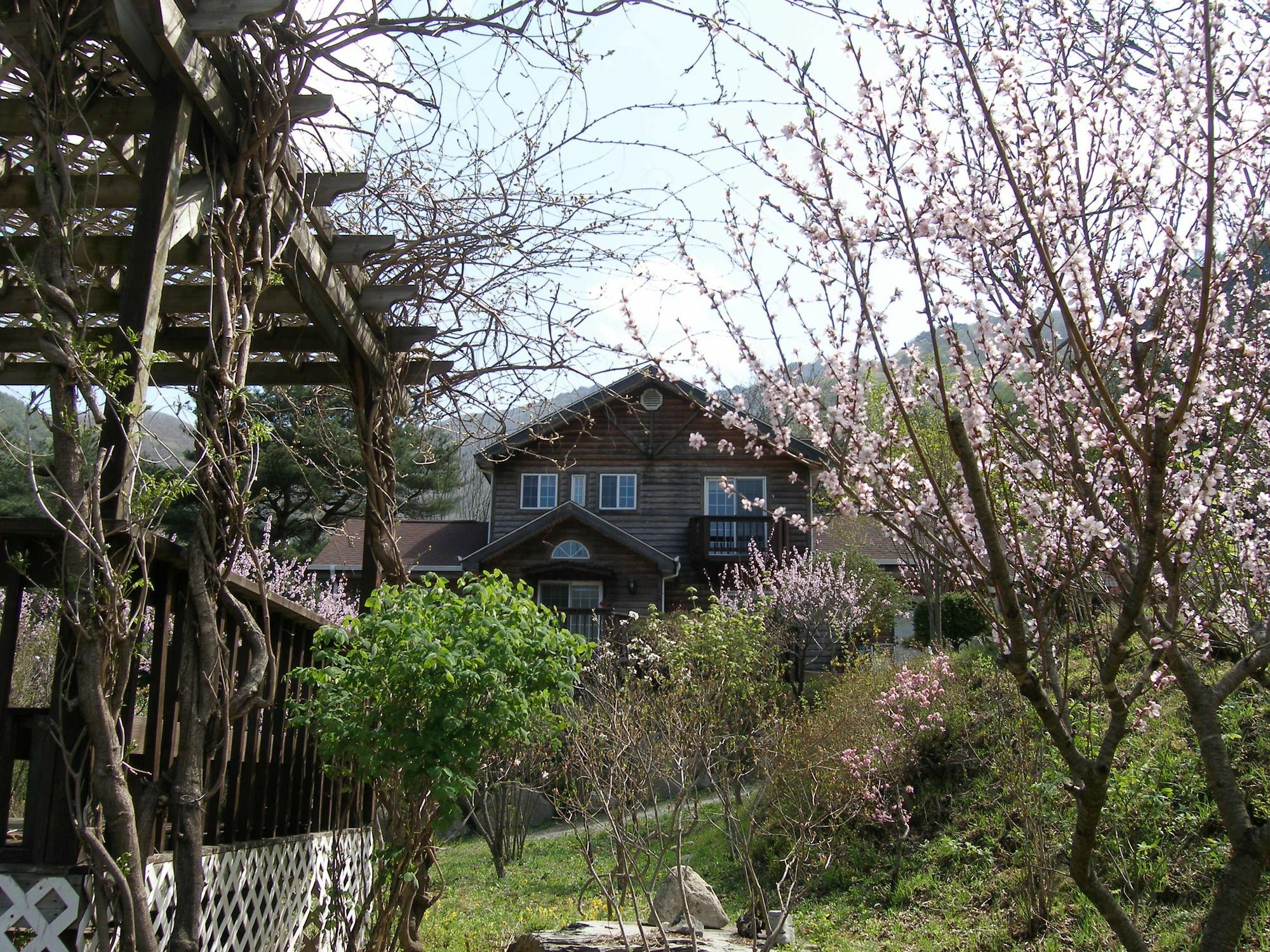 Fairy Tale Pension Pyeongchang Exterior foto